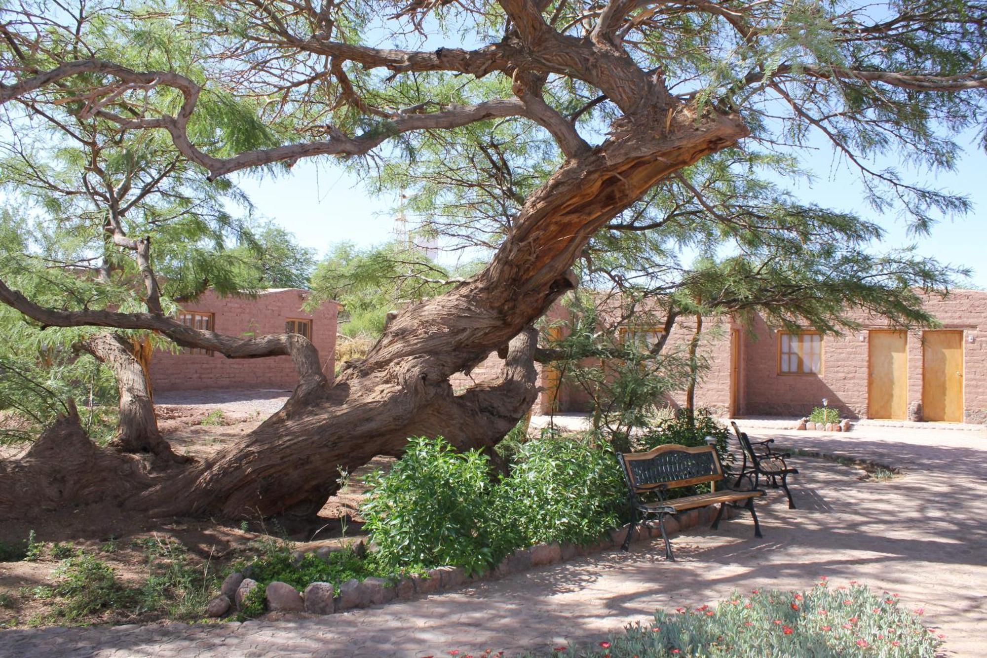 Hotel Casa Don Esteban San Pedro de Atacama Luaran gambar